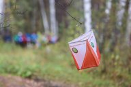 Зауральская Весна Зауральская Весна